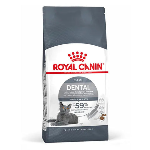 Adult Dental Care