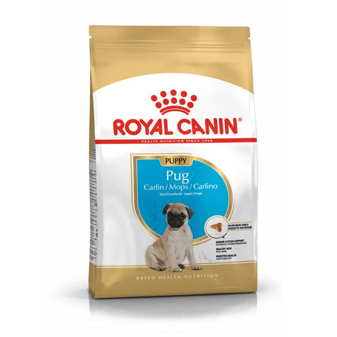 Puppy Mops 1,5 kg