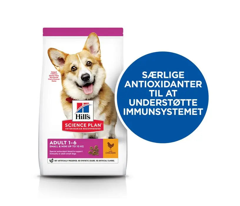 Adult Small & Mini kylling 6 kg