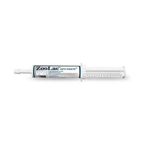 Opti Paste 32 ml