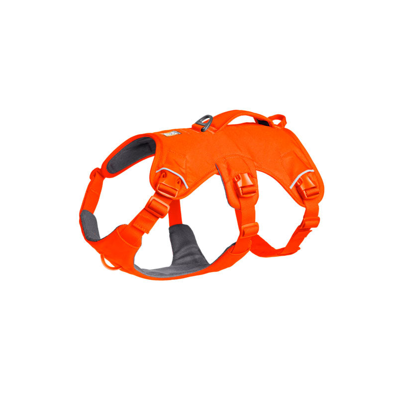 Web Master sele S Balze Orange
