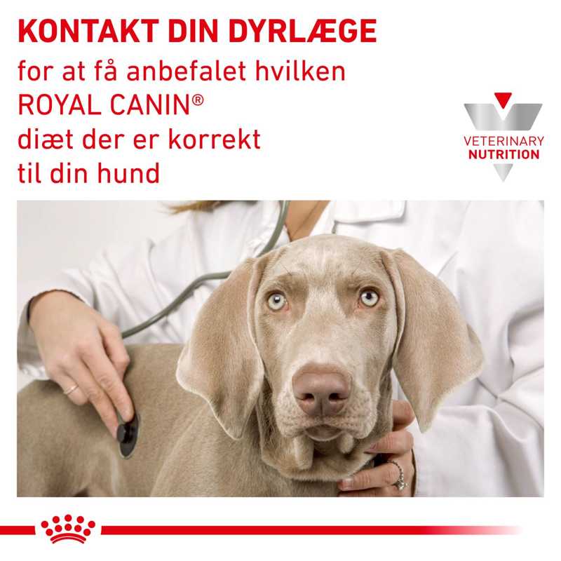 VHN Weight Management Satiety